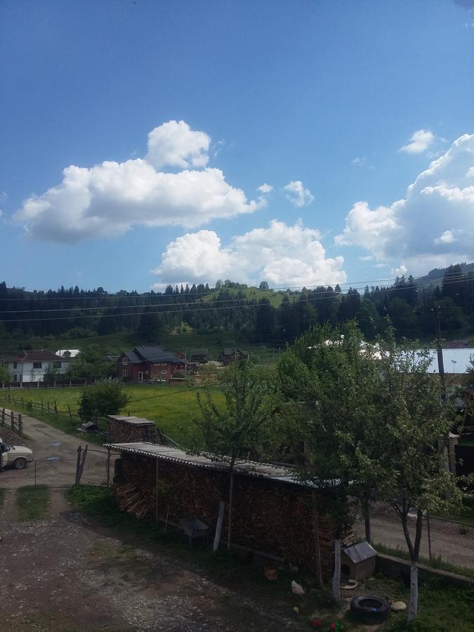 Zatushok Pid Goroyu Villa Verhovîna Exterior foto
